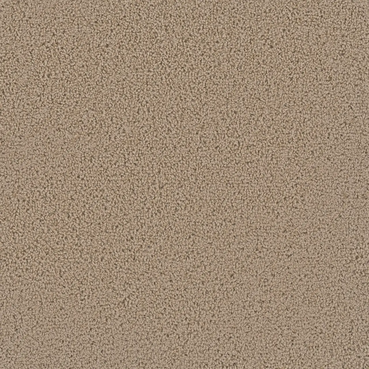 Rug Product Image