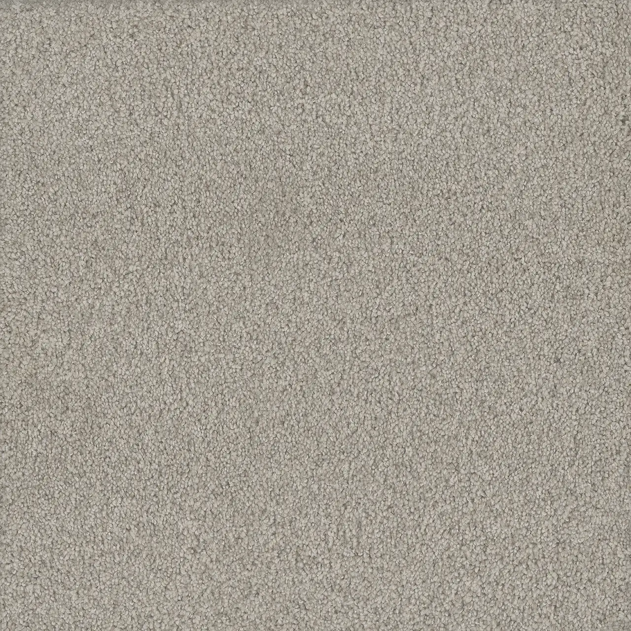 Rug Product Image